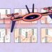 Fast Drone Algorithm