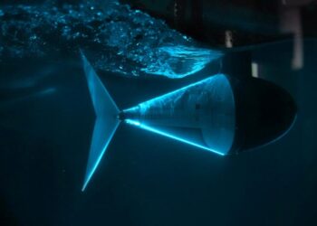 Robotic Fish Tail