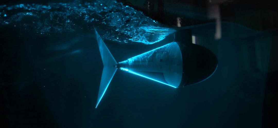 Robotic Fish Tail