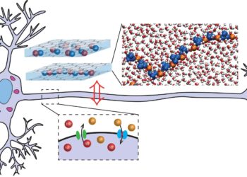 Artificial Neuron Prototype