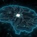 AI Brain Circuit Connectivity