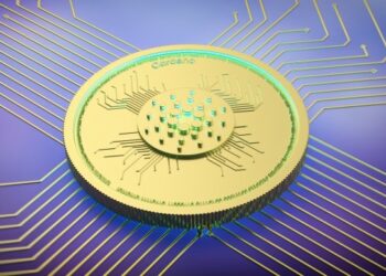 Cardano (ADA) se convierte en líder en este mercado en auge