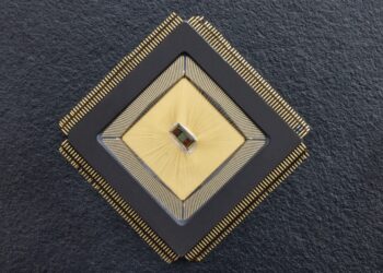 Supresión de los síntomas: un neurochip para controlar los trastornos cerebrales