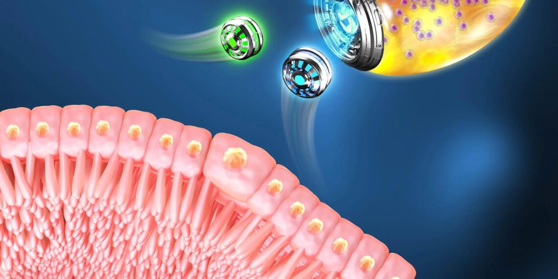 Nanorobots biomotores revolucionarios para el tratamiento de la inflamación gastrointestinal