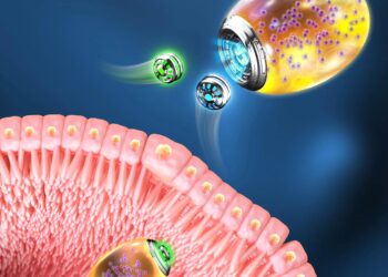 Nanorobots biomotores revolucionarios para el tratamiento de la inflamación gastrointestinal