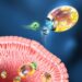 Nanorobots biomotores revolucionarios para el tratamiento de la inflamación gastrointestinal