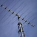 Antena