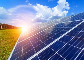 Solar Panels in Grass