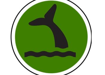 Our Oceans 2023