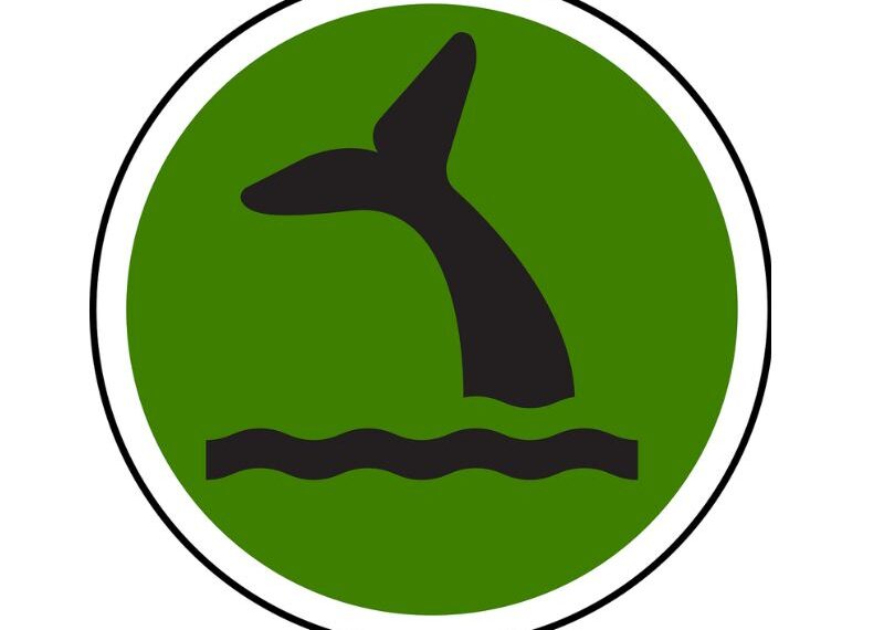 Our Oceans 2023