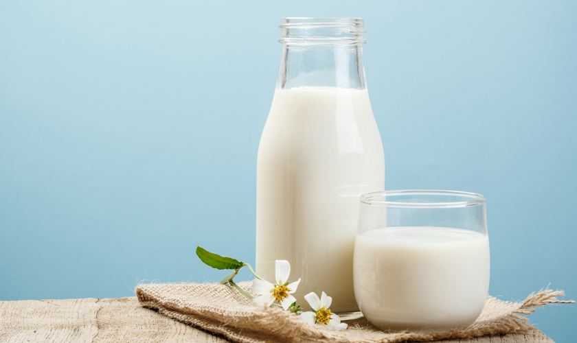 ¿Es necesario disminuir el consumo de lácteos? Qué dicen los expertos.