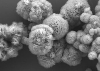 Tiny Structures Known As MXenes