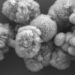 Tiny Structures Known As MXenes