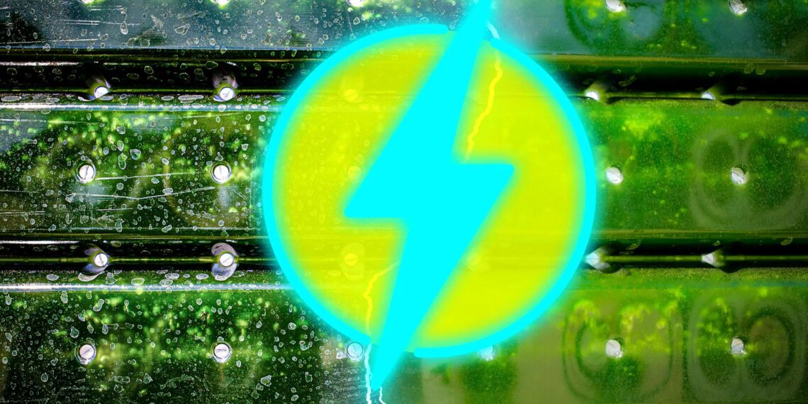 Allanando el camino para la captura de CO2: el avance antiincrustante del MIT en tecnología de fotobiorreactores