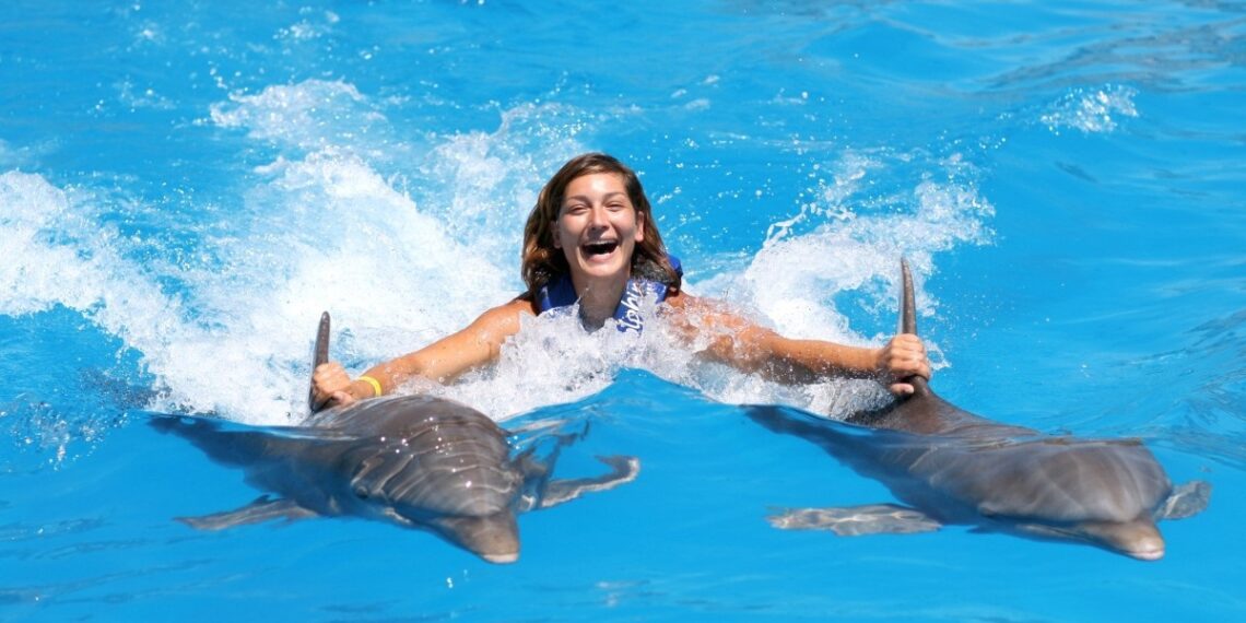 nado con delfines cozumel