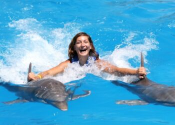 nado con delfines cozumel