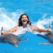 nado con delfines cozumel