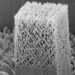FIB-Milled Quasi-BCC Beam Nanolattice