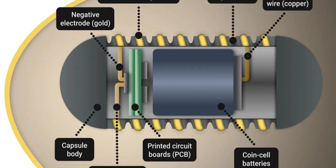 Ingestible Electroceutical Capsule