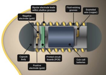 Ingestible Electroceutical Capsule