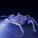 Origami Inspired Robot