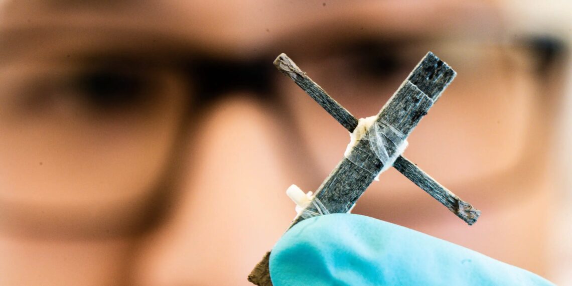 Científicos desarrollan el primer transistor del mundo hecho de madera