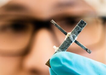 Científicos desarrollan el primer transistor del mundo hecho de madera