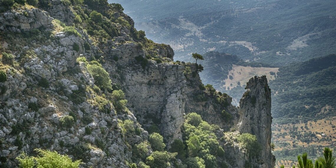 Descubre los tesoros ocultos del Parque Natural Sierra de Grazalema