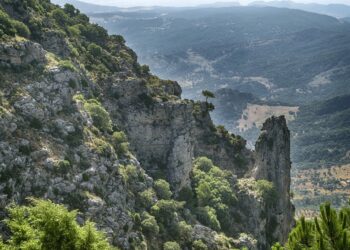 Descubre los tesoros ocultos del Parque Natural Sierra de Grazalema