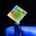 Functional 2D-Enabled Microchips