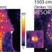 Nueva técnica de imágenes de microscopía: RESORT revela sistemas vivos como nunca antes