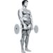 Schwarzenegger