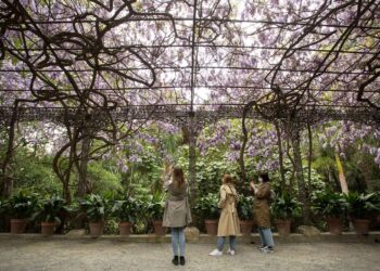 Jardín Botánico Histórico La Concepción