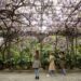 Jardín Botánico Histórico La Concepción