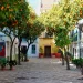 Barrio Santa Cruz