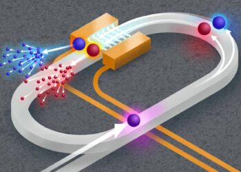 Synthetic Space Quantum Simulator Model