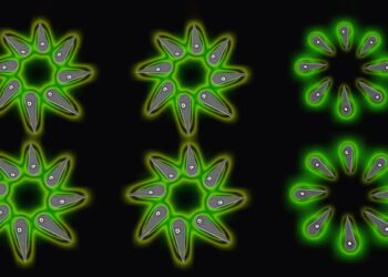 Precise Arrays of nanoLEDs