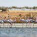Parque Nacional de Doñana