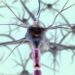 salud neuronal