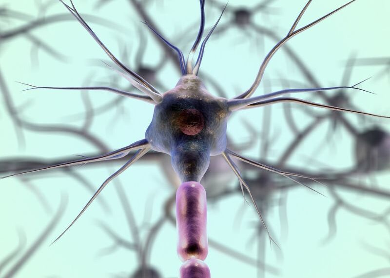 salud neuronal