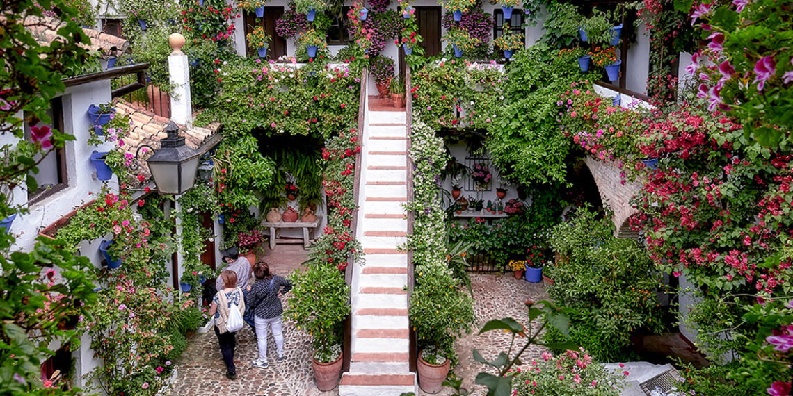 los patios cordobeses