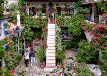 los patios cordobeses