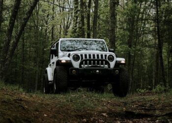 Wrangler