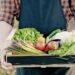 Las razones por las que comer verduras de temporada es lo mejor para tu salud