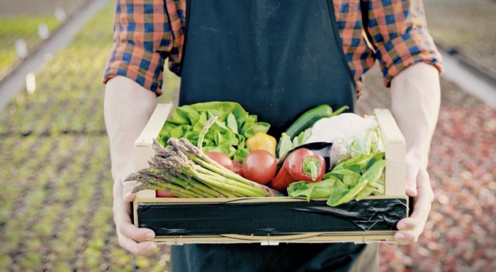 Las razones por las que comer verduras de temporada es lo mejor para tu salud