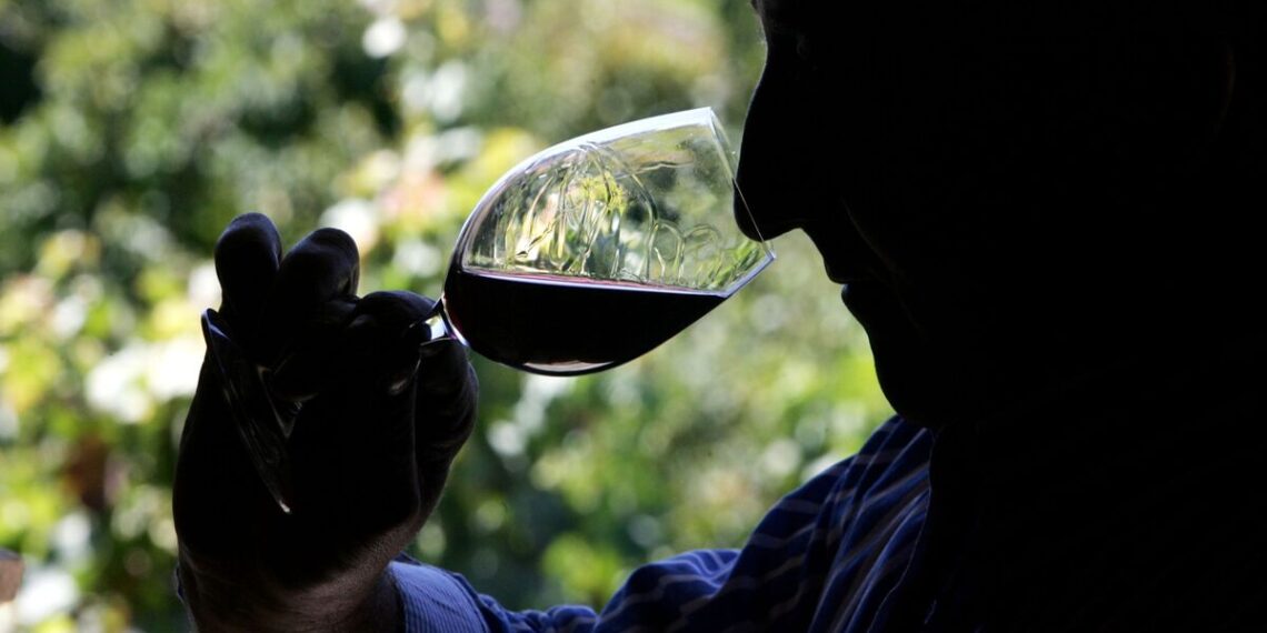 Descubre los secretos de los mejores vinos de Andalucía