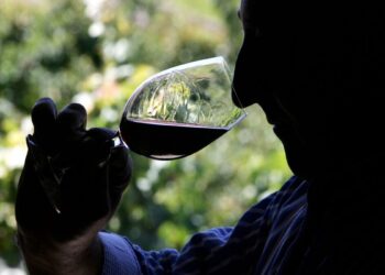 Descubre los secretos de los mejores vinos de Andalucía