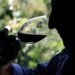 Descubre los secretos de los mejores vinos de Andalucía