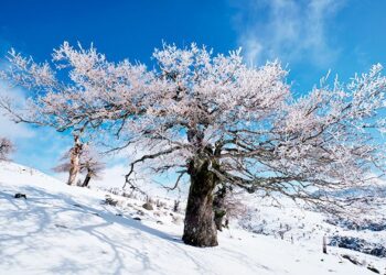 nieve en Andalucía