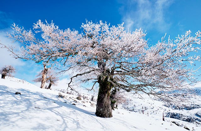 nieve en Andalucía